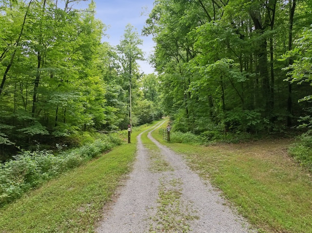 view of road