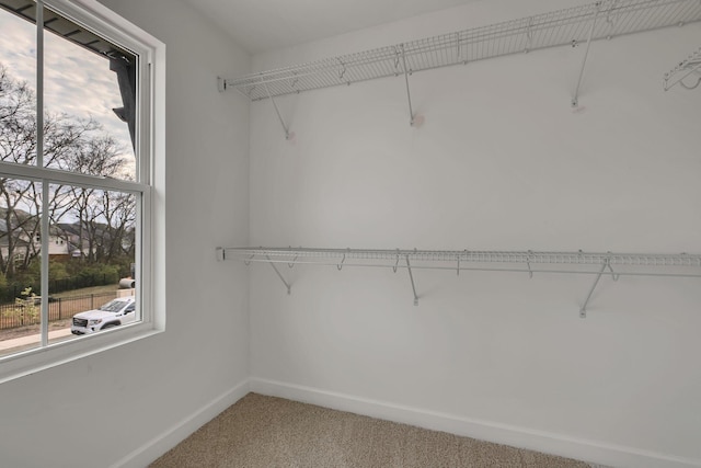 spacious closet with carpet flooring