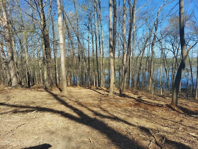 0 Elkhorn Rd, Springville, TN 38256 - photo 2