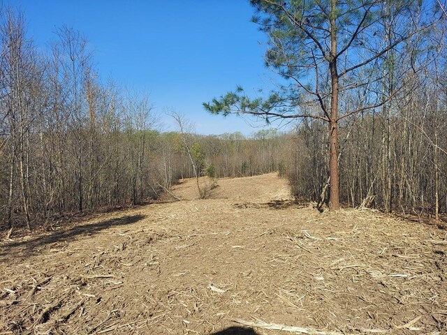 0 Elkhorn Rd, Springville, TN 38256 - photo 12