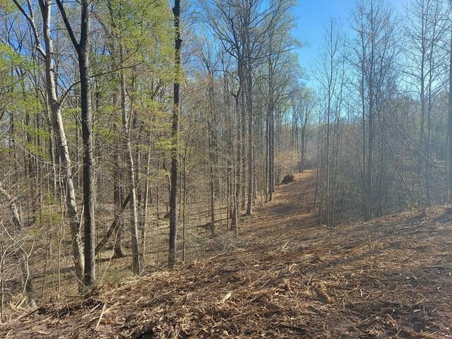 0 Elkhorn Rd, Springville, TN 38256 - photo 8