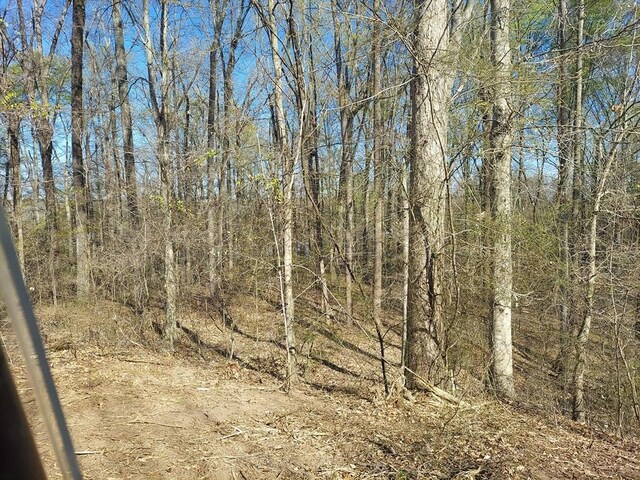 0 Elkhorn Rd, Springville, TN 38256 - photo 10