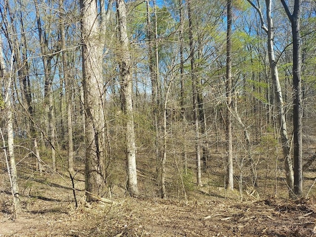 0 Elkhorn Rd, Springville, TN 38256 - photo 9