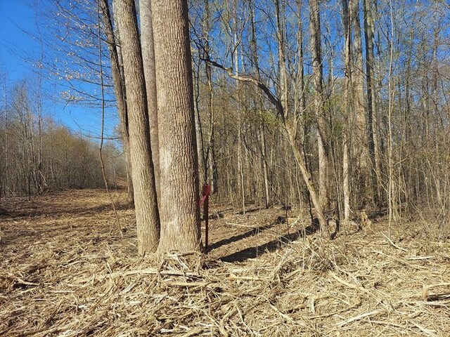 0 Elkhorn Rd, Springville, TN 38256 - photo 7