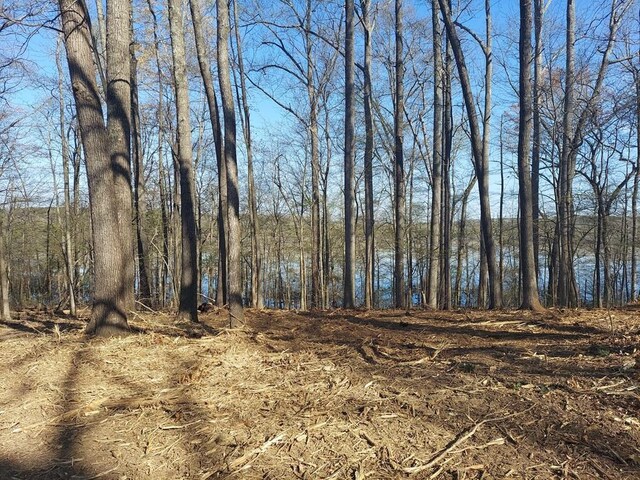 0 Elkhorn Rd, Springville, TN 38256 - photo 3