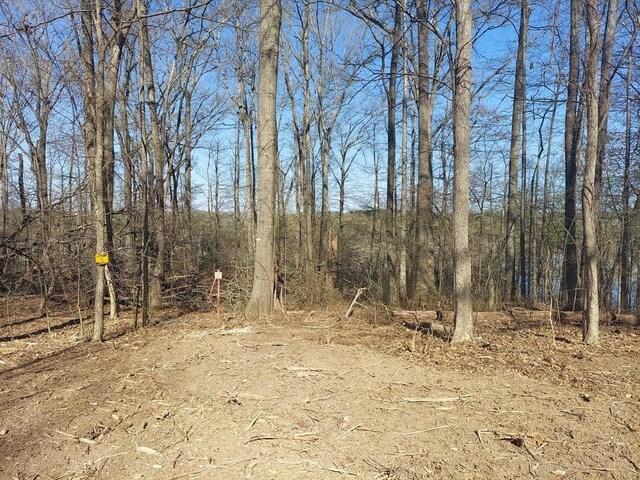 0 Elkhorn Rd, Springville, TN 38256 - photo 4