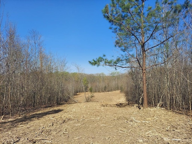 0 Elkhorn Rd, Springville, TN 38256 - photo 13