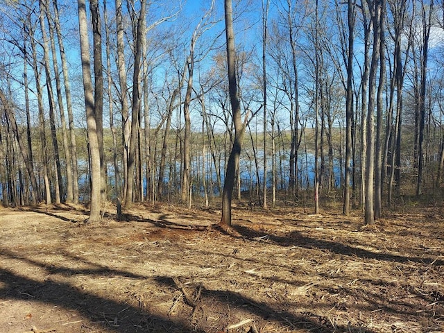 0 Elkhorn Rd, Springville, TN 38256 - photo 1