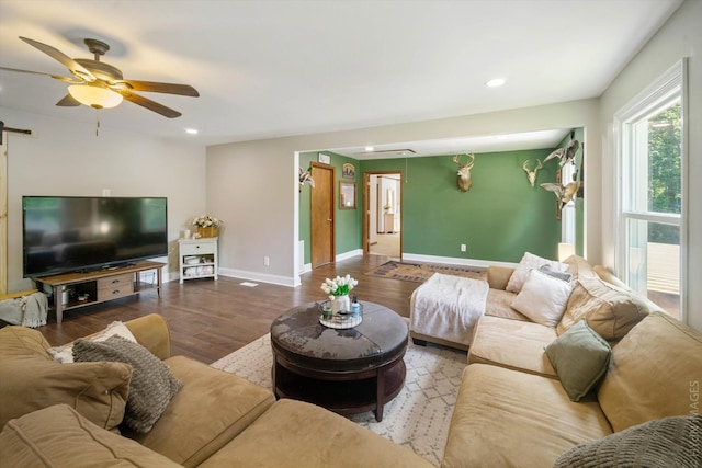 living room featuring ceiling fan, a barn door, and dark wood-type flooring