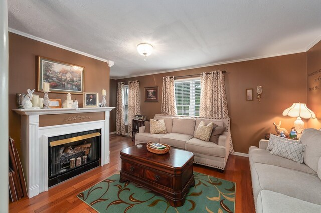 living room with crown molding and hardwood / wood-style floors