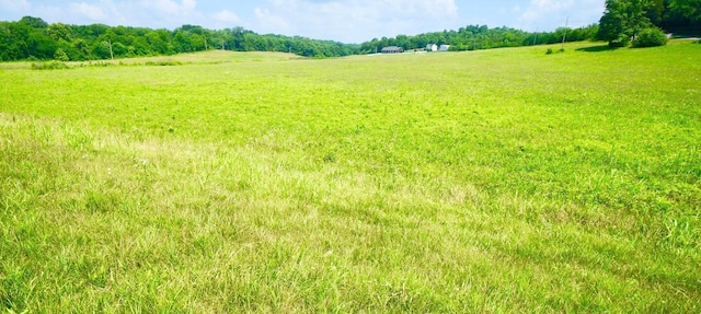 0 Holmes Gap Rd, Alexandria TN, 37012 land for sale