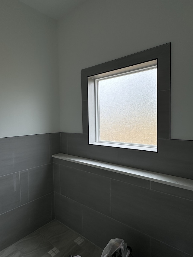 bathroom featuring a wealth of natural light