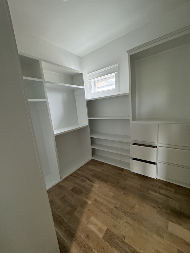 walk in closet featuring wood-type flooring