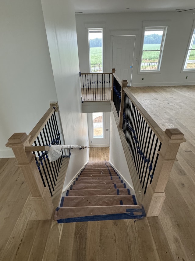 stairs featuring hardwood / wood-style flooring and a wealth of natural light