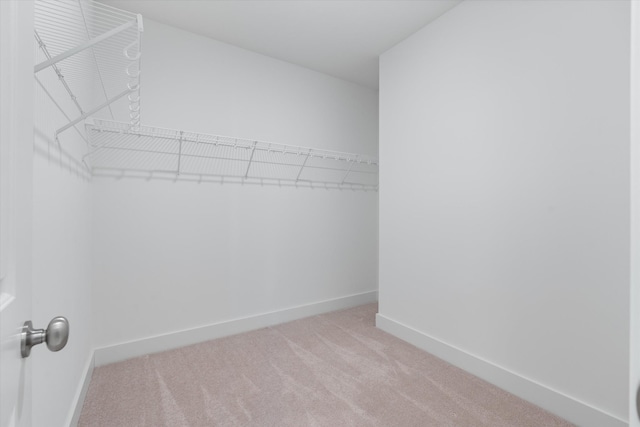 spacious closet featuring light carpet