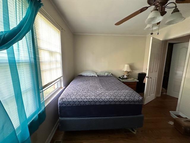 bedroom featuring crown molding, ceiling fan, and dark hardwood / wood-style flooring