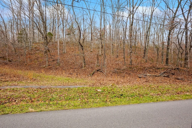 Listing photo 2 for 0 Bill Brake Rd, Dover TN 37058