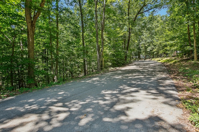 4645 Frankie Rd, Indian Mound TN, 37079 land for sale