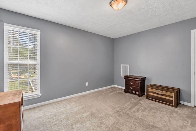 unfurnished bedroom with light carpet and a textured ceiling