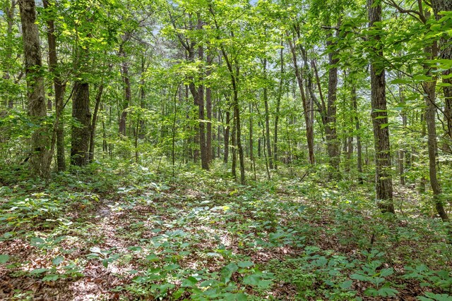 157 Highway, Menlo, GA 30731 - photo 22