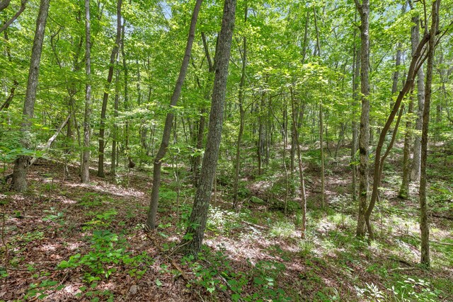 157 Highway, Menlo, GA 30731 - photo 21