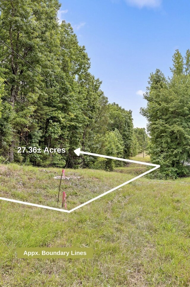 157 Highway, Menlo, GA 30731 - photo 15