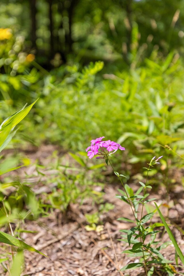 157 Highway, Menlo, GA 30731 - photo 19