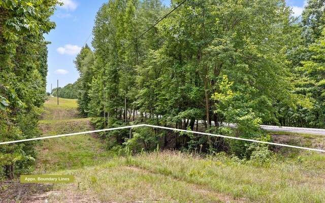 157 Highway, Menlo, GA 30731 - photo 16