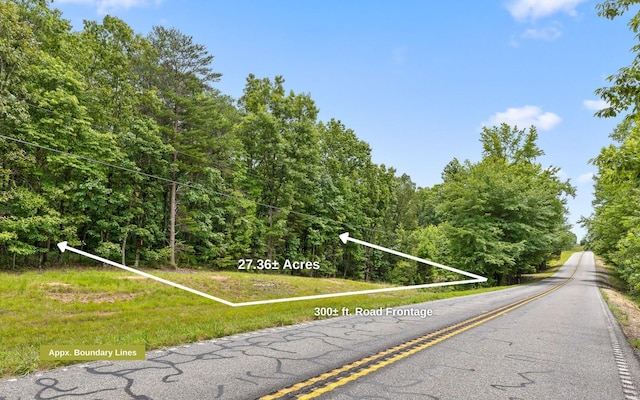 157 Highway, Menlo, GA 30731 - photo 14