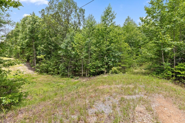 157 Highway, Menlo, GA 30731 - photo 18