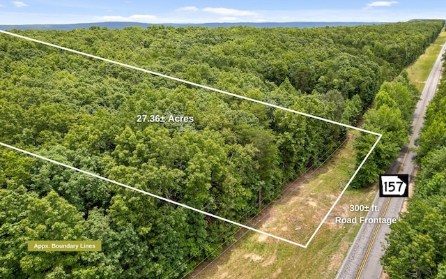 157 Highway, Menlo, GA 30731 - photo 13