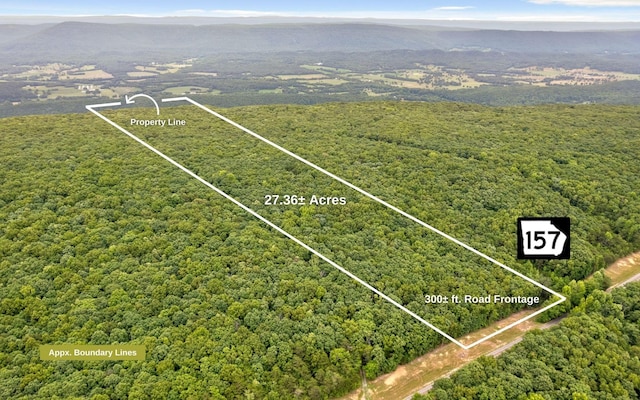 157 Highway, Menlo, GA 30731 - photo 2