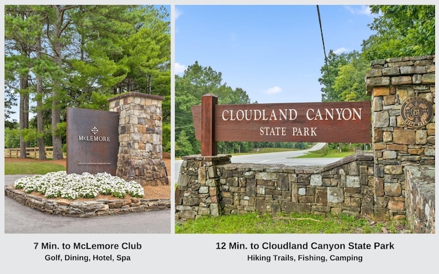 157 Highway, Menlo, GA 30731 - photo 3