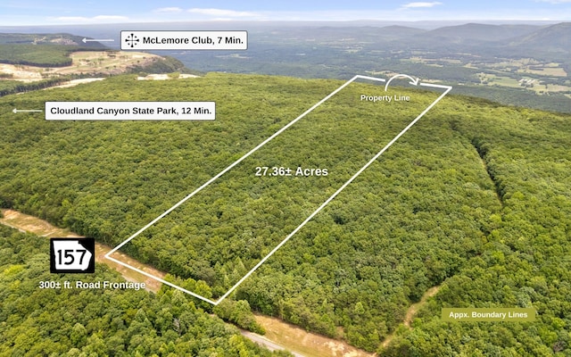 157 Highway, Menlo GA, 30731 land for sale