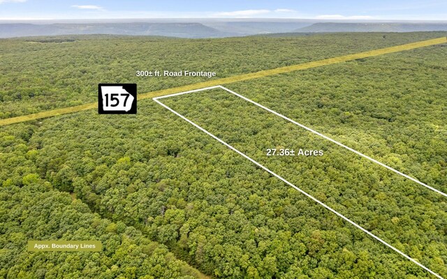 157 Highway, Menlo, GA 30731 - photo 9