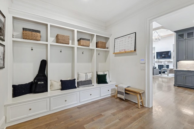 mudroom with crown molding and light hardwood / wood-style floors