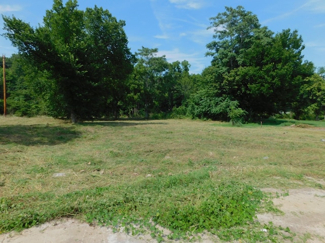 312 N Maple Ave, Waverly, TN 37185