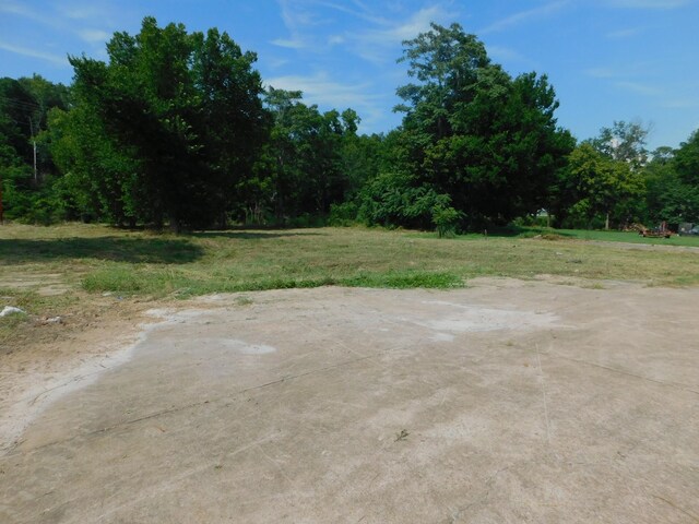 312 N Maple Ave, Waverly, TN 37185 - photo 8