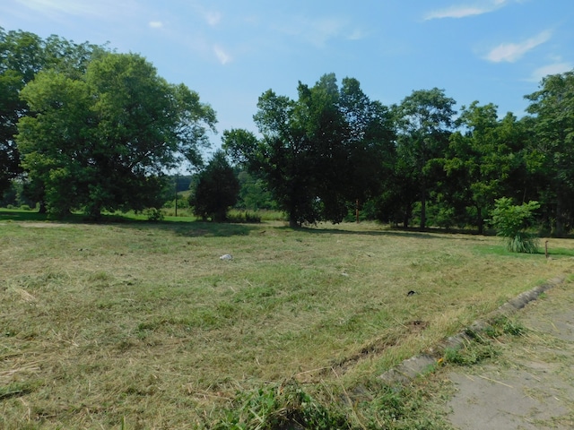 312 N Maple Ave, Waverly TN, 37185 land for sale