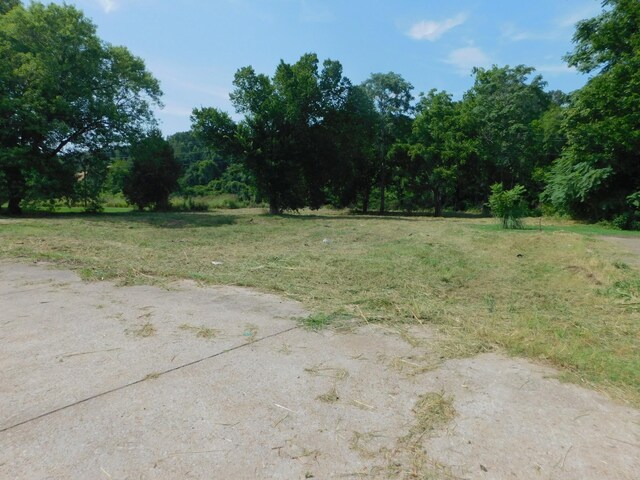 312 N Maple Ave, Waverly, TN 37185 - photo 5