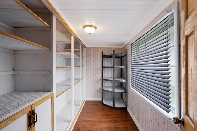 spacious closet featuring dark hardwood / wood-style flooring