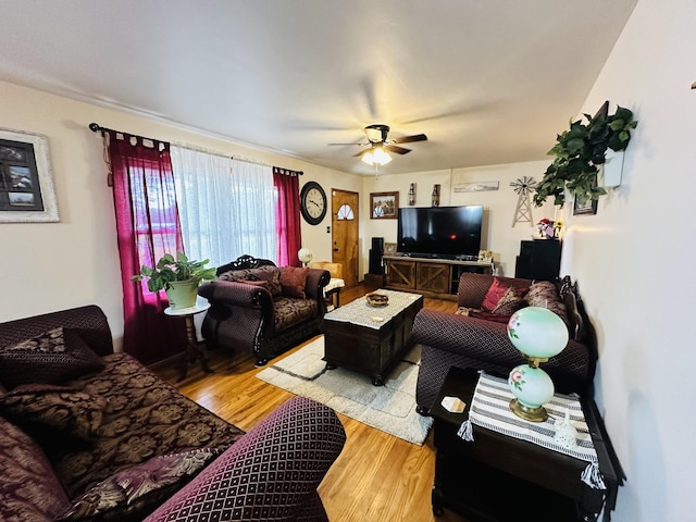 living room with hardwood / wood-style flooring and ceiling fan