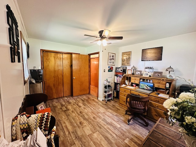 office featuring ceiling fan and light hardwood / wood-style flooring