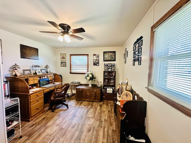 home office with hardwood / wood-style floors and ceiling fan