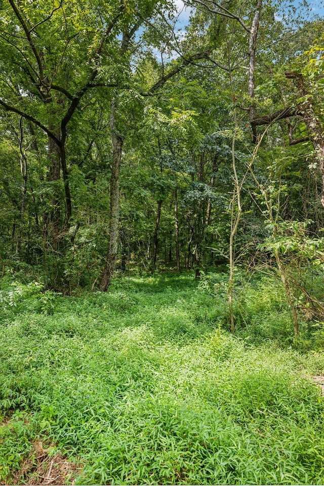 view of landscape