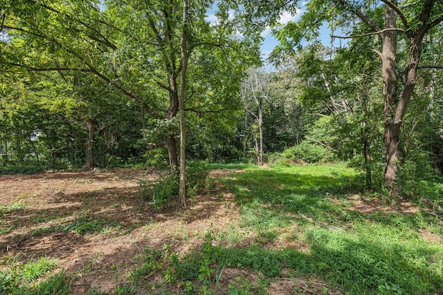 77 Macedonia Rd, Lawrenceburg, TN 38464 - photo 19