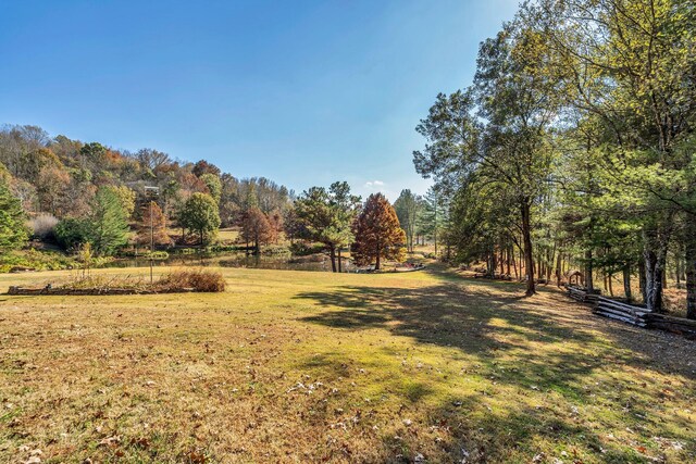 393 Jones Rd, Pulaski, TN 38478 - photo 42