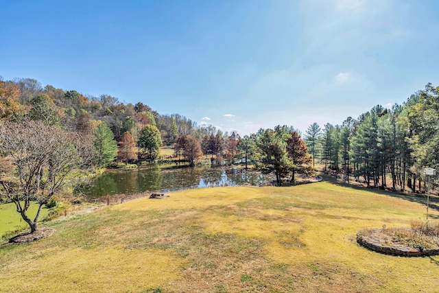 393 Jones Rd, Pulaski, TN 38478 - photo 38