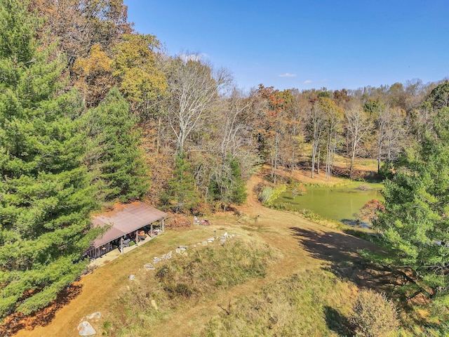 393 Jones Rd, Pulaski, TN 38478 - photo 54