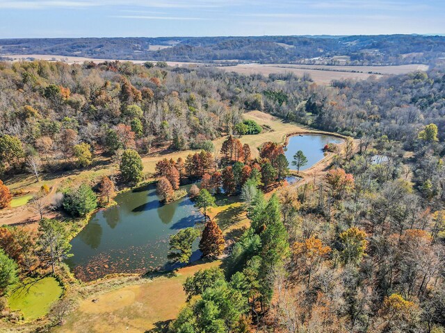 393 Jones Rd, Pulaski, TN 38478 - photo 59
